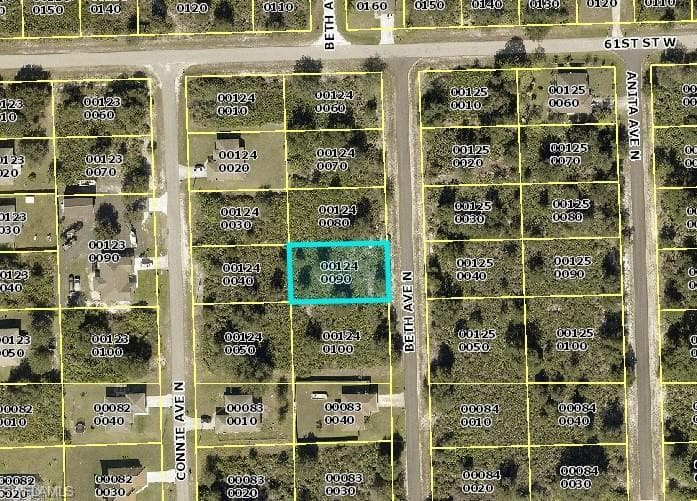 6007 Beth AVE N LEHIGH ACRES, FL 33971