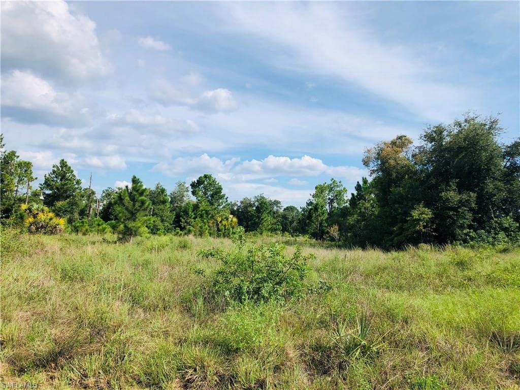 2518 53rd ST SW LEHIGH ACRES, FL 33976