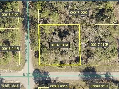 701 E 17th ST LEHIGH ACRES, FL 33972
