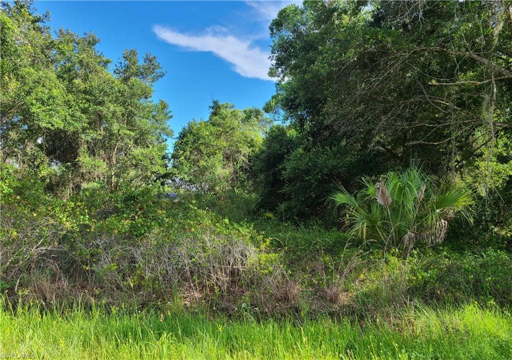 29335 Daisy ST PUNTA GORDA, FL 33982
