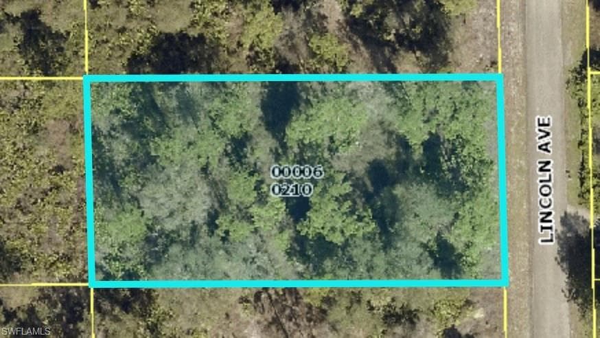 1617 Lincoln AVE LEHIGH ACRES, FL 33972