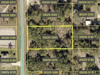 1412 Roosevelt AVE LEHIGH ACRES, FL 33972