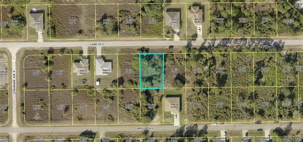 748 Cane ST E LEHIGH ACRES, FL 33974