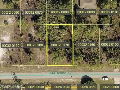 1047 Chadwick ST LEHIGH ACRES, FL 33974