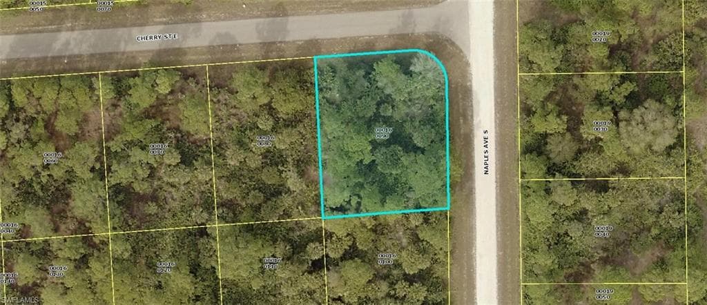 1250 Cherry ST E LEHIGH ACRES, FL 33974