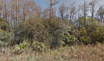 1912 Montero AVE LEHIGH ACRES, FL 33972