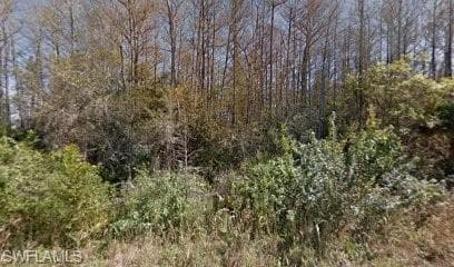 1916 Montero AVE LEHIGH ACRES, FL 33972