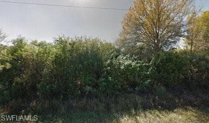 1210 Ravenswood ST E LEHIGH ACRES, FL 33974