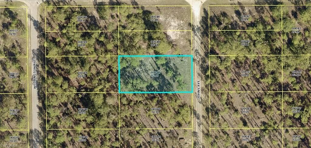 1123 Johns AVE LEHIGH ACRES, FL 33972