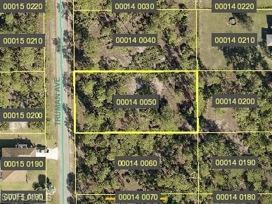 914 Truman AVE LEHIGH ACRES, FL 33972