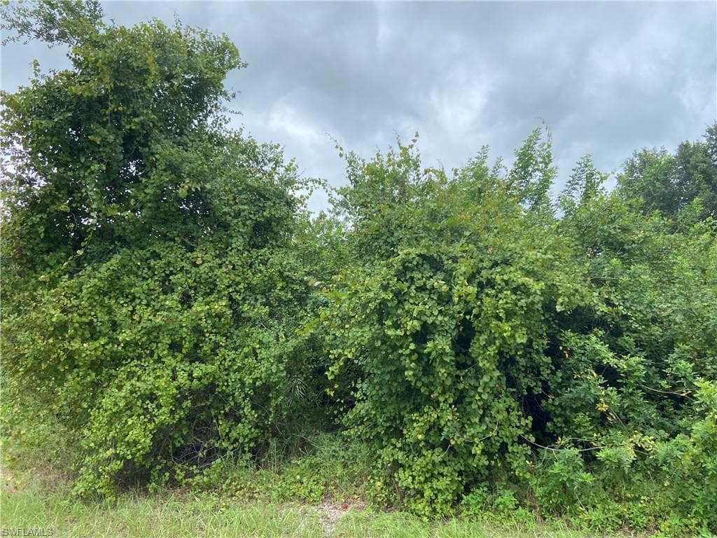4309 13th ST SW LEHIGH ACRES, FL 33976