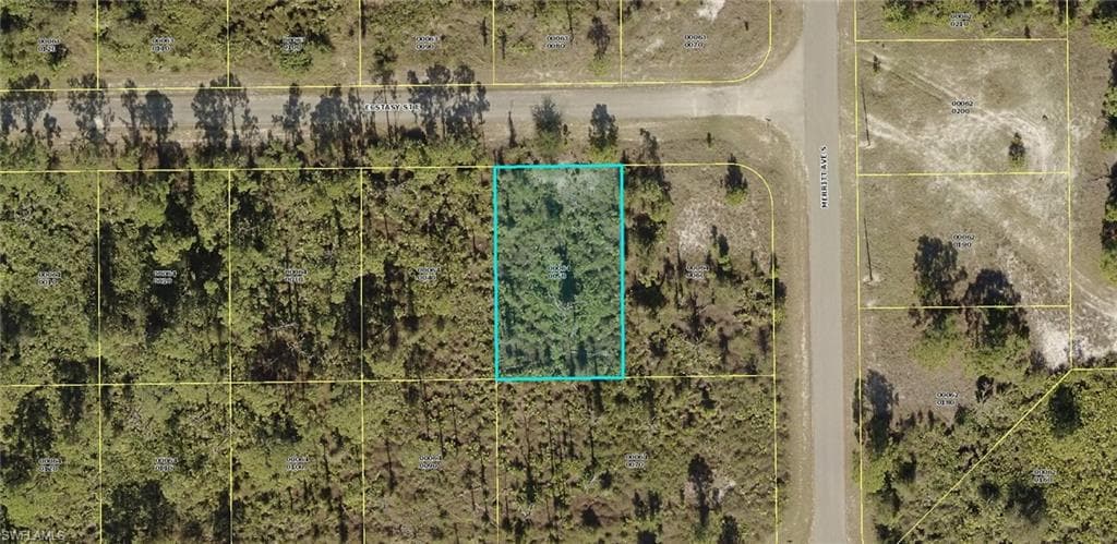 1222 Ecstasy ST E LEHIGH ACRES, FL 33974
