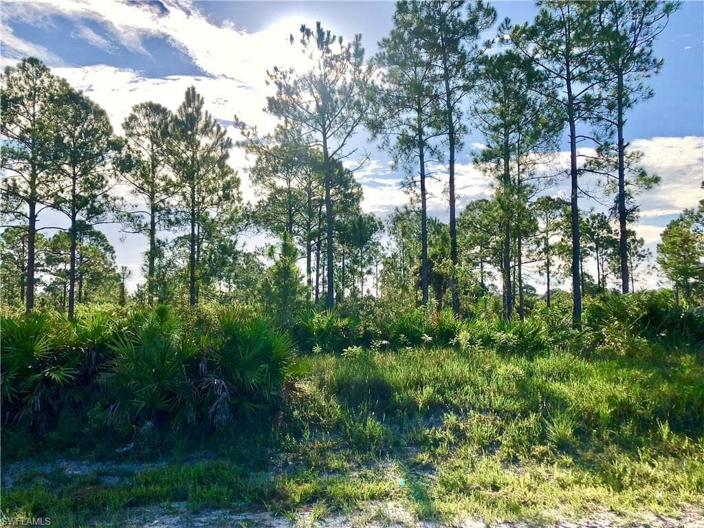1306 Edison AVE LEHIGH ACRES, FL 33972