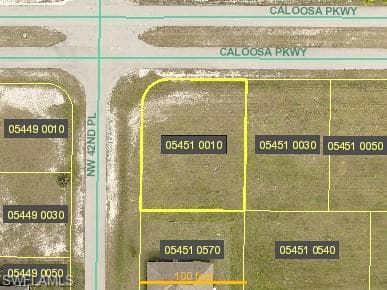 4214 Caloosa PKY CAPE CORAL, FL 33993