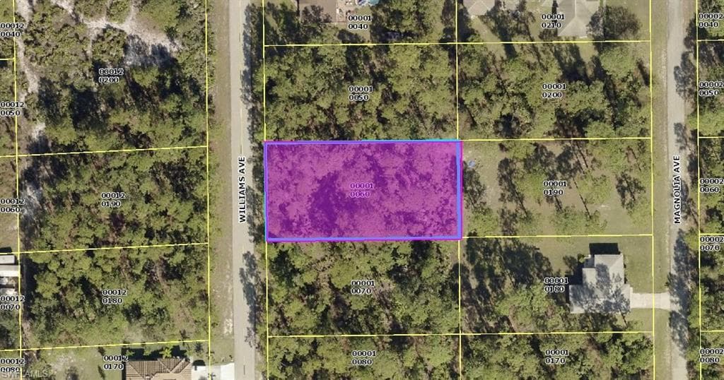 1612 Williams AVE LEHIGH ACRES, FL 33972
