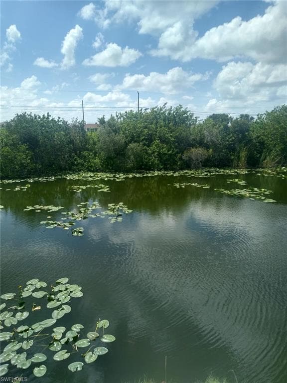428 NE 25th TER CAPE CORAL, FL 33909