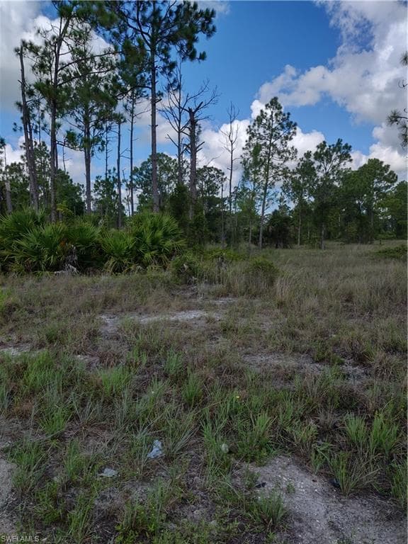 802 Ontario AVE S LEHIGH ACRES, FL 33974