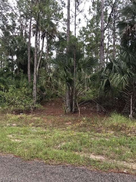 1987 Westboro Loop LOOP LEHIGH ACRES, FL 33972