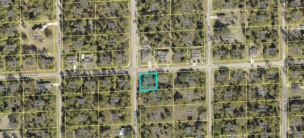 1607 W 17th ST LEHIGH ACRES, FL 33972