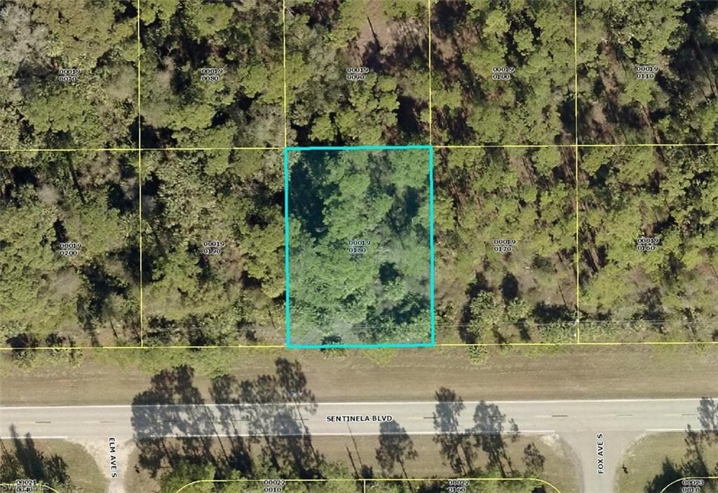 1053 Sentinela BLVD LEHIGH ACRES, FL 33974
