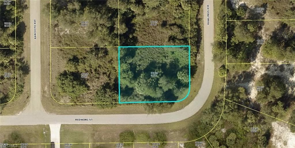 352 Rawlings AVE LEHIGH ACRES, FL 33974