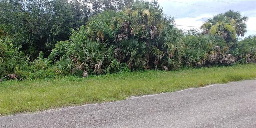 1253 Milwaukee BLVD LEHIGH ACRES, FL 33974