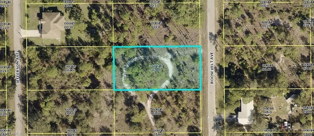 1117 Roosevelt AVE LEHIGH ACRES, FL 33936