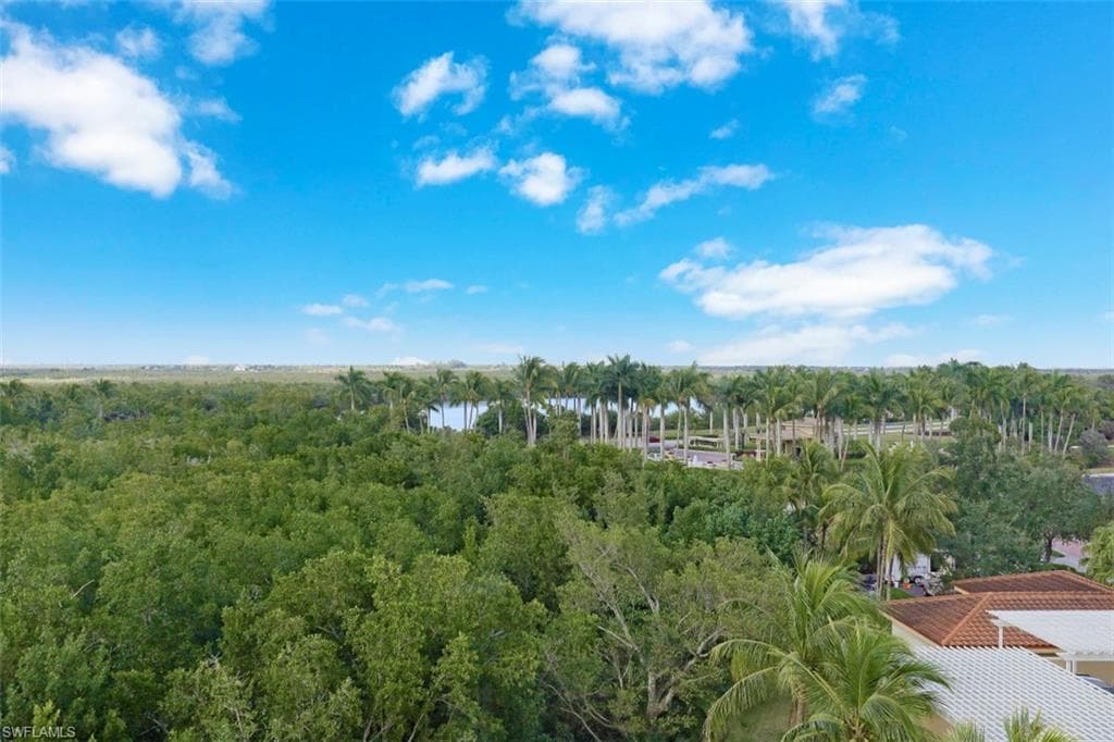 1065 Borghese LN 506 NAPLES, FL 34114