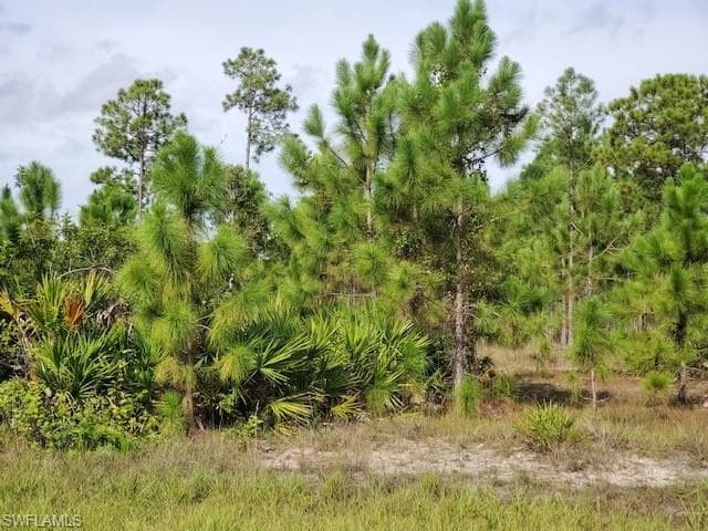 1105 Jackson AVE LEHIGH ACRES, FL 33972