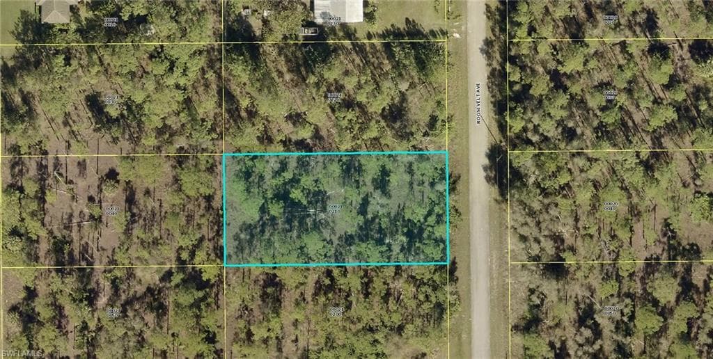 1317 Roosevelt AVE LEHIGH ACRES, FL 33972