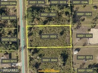 1018 Michael AVE LEHIGH ACRES, FL 33936
