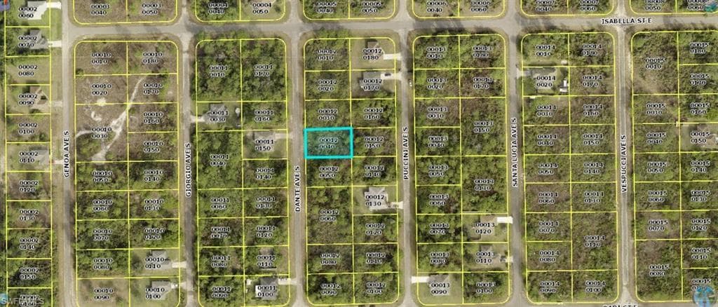 723 Dante AVE S LEHIGH ACRES, FL 33974