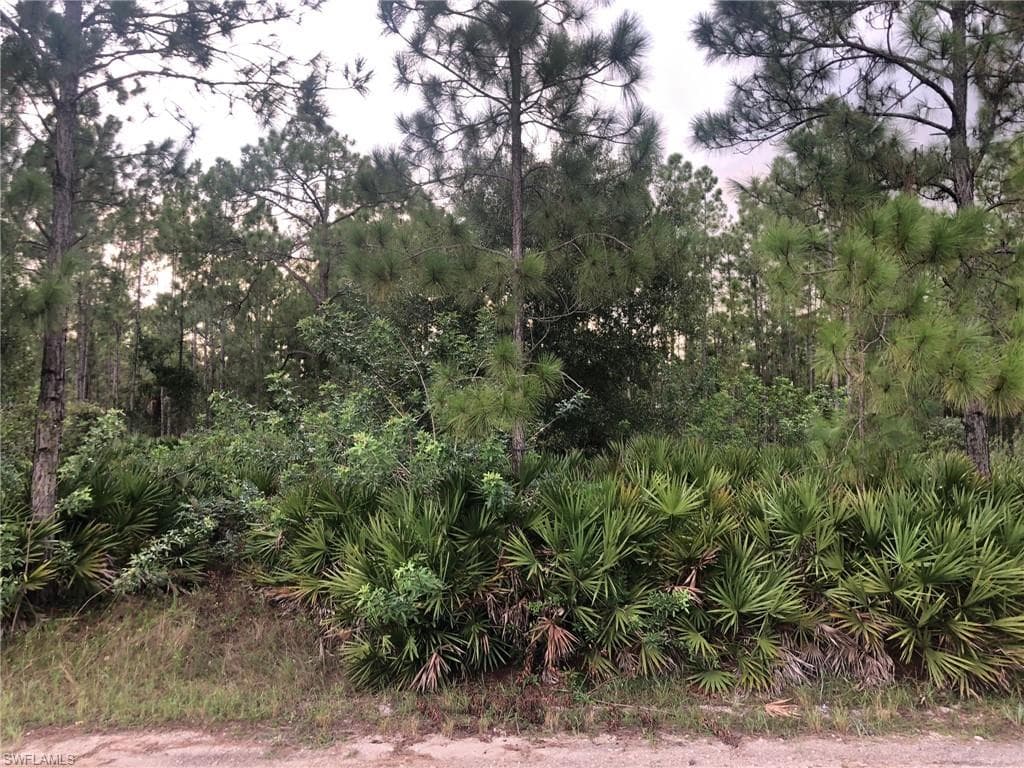 1007 Plumosa AVE LEHIGH ACRES, FL 33972
