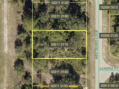 1919 Westboro LOOP LEHIGH ACRES, FL 33972