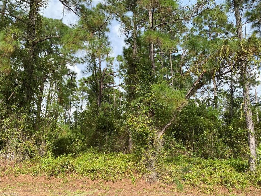 926 Fern ST E LEHIGH ACRES, FL 33974