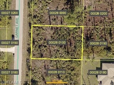 1019 Garnet AVE LEHIGH ACRES, FL 33974
