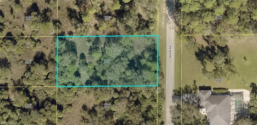 1319 Calvin AVE LEHIGH ACRES, FL 33972