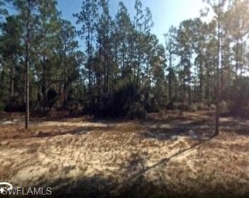 2310 Wellington AVE ALVA, FL 33920