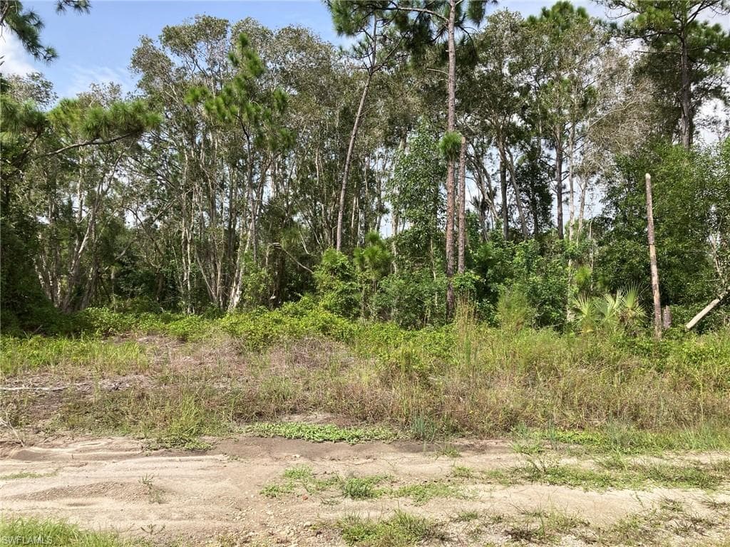 2406 Meadow RD LEHIGH ACRES, FL 33974