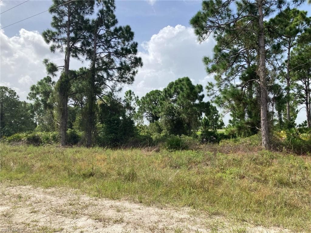 2528 Meadow RD LEHIGH ACRES, FL 33974