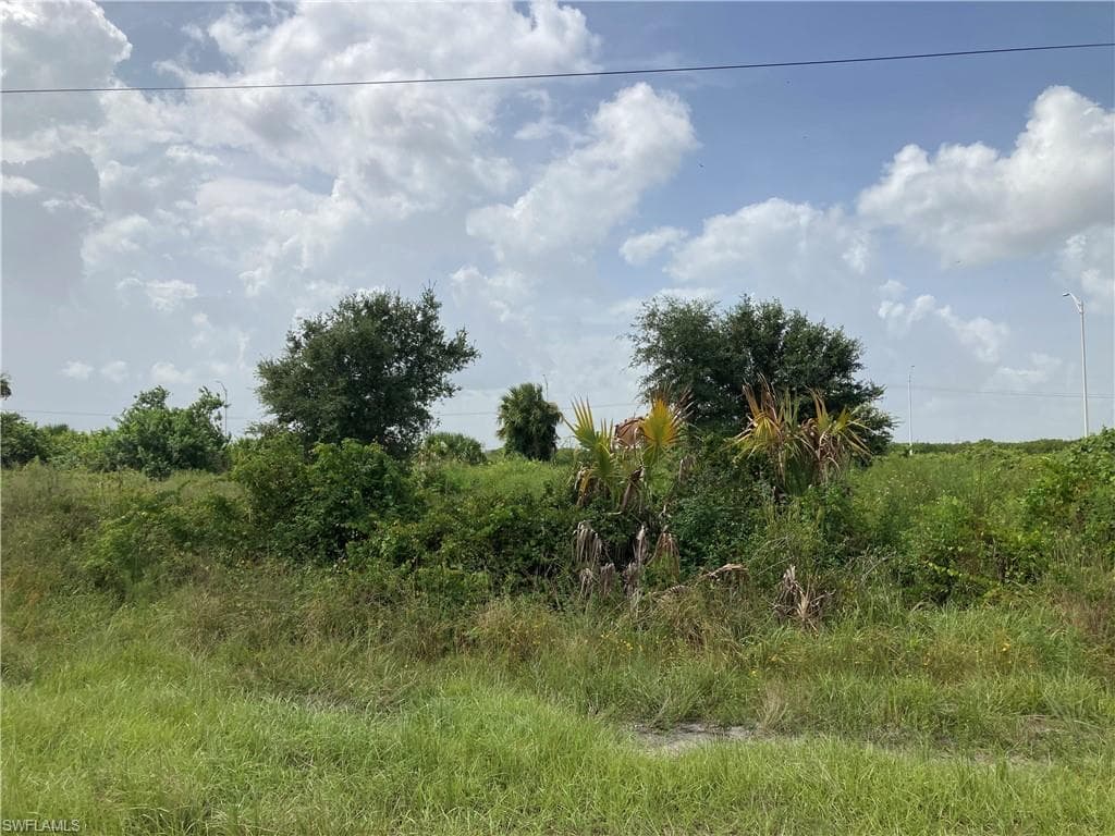 3346 Meadow RD LEHIGH ACRES, FL 33974