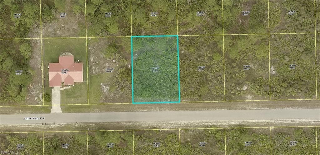 1115 Chiefland ST E LEHIGH ACRES, FL 33974