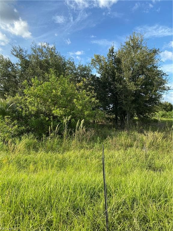 425 Piedmont ST LEHIGH ACRES, FL 33974