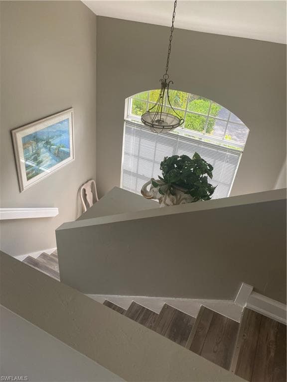 7577 Silver Trumpet LN T-204 NAPLES, FL 34109