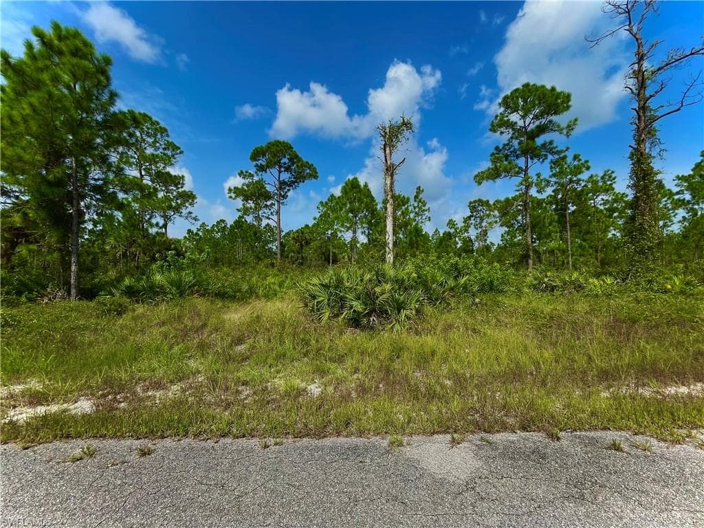 207 Wells AVE LEHIGH ACRES, FL 33936