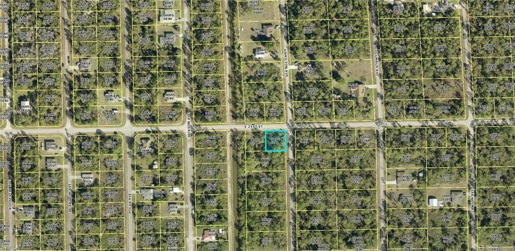 2906 E 21st ST ALVA, FL 33920