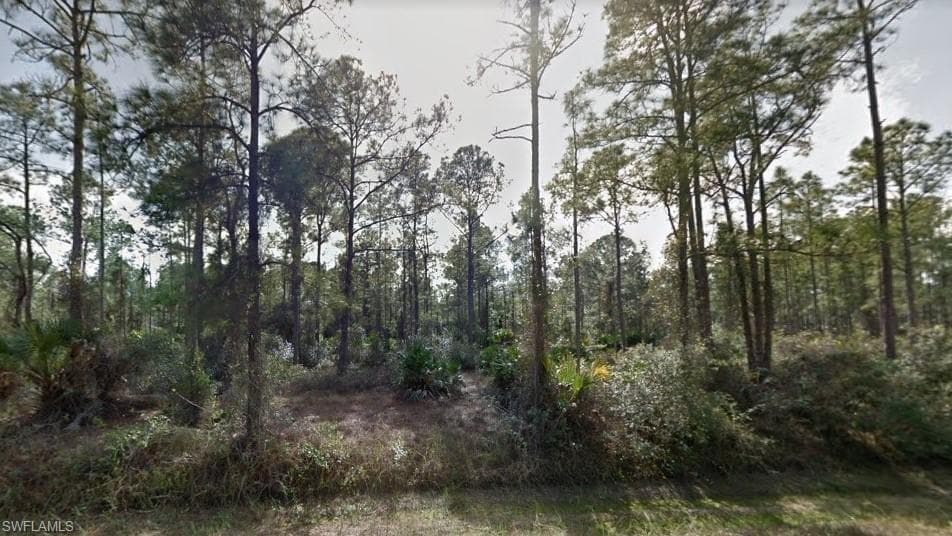 3402 E 22nd ST ALVA, FL 33920