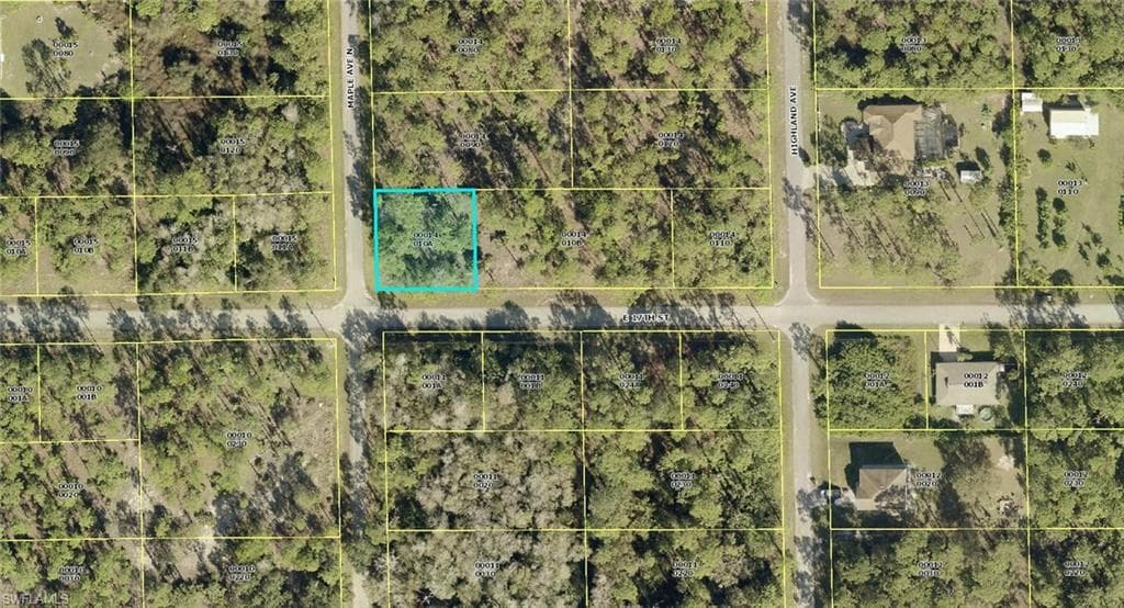 1001 E 17th ST LEHIGH ACRES, FL 33972
