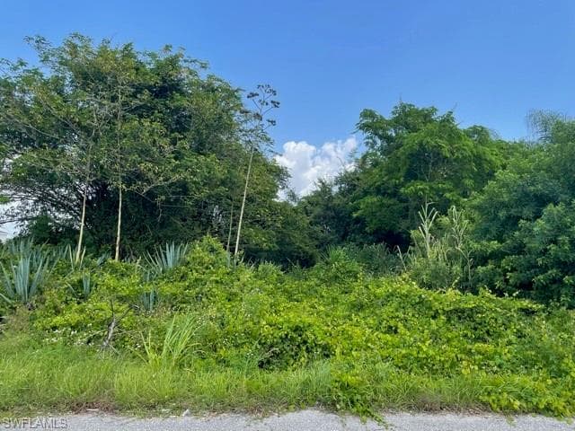 4208 28th ST SW LEHIGH ACRES, FL 33976
