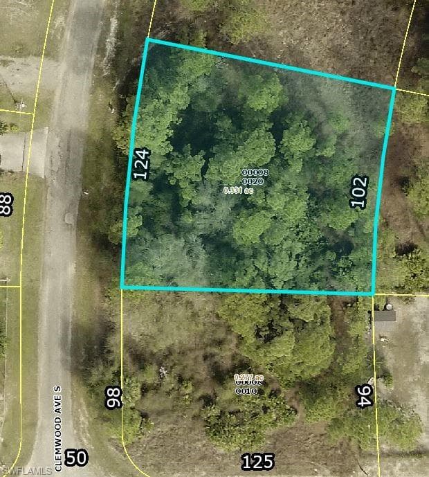 729 Clemwood AVE S LEHIGH ACRES, FL 33974